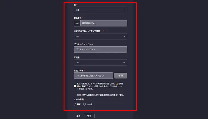 ビックベットカジノ登録2