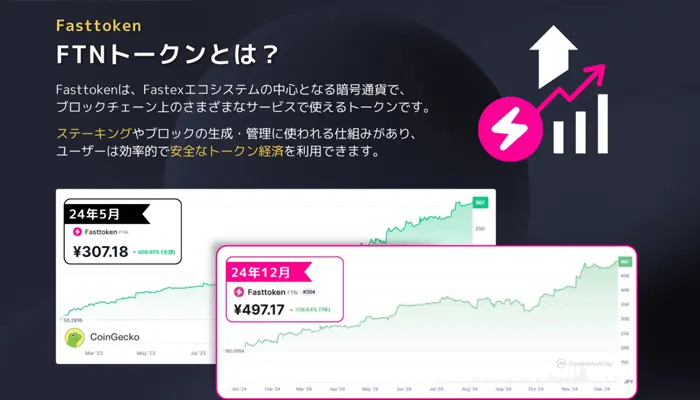 ビックベットカジノFTNトークン